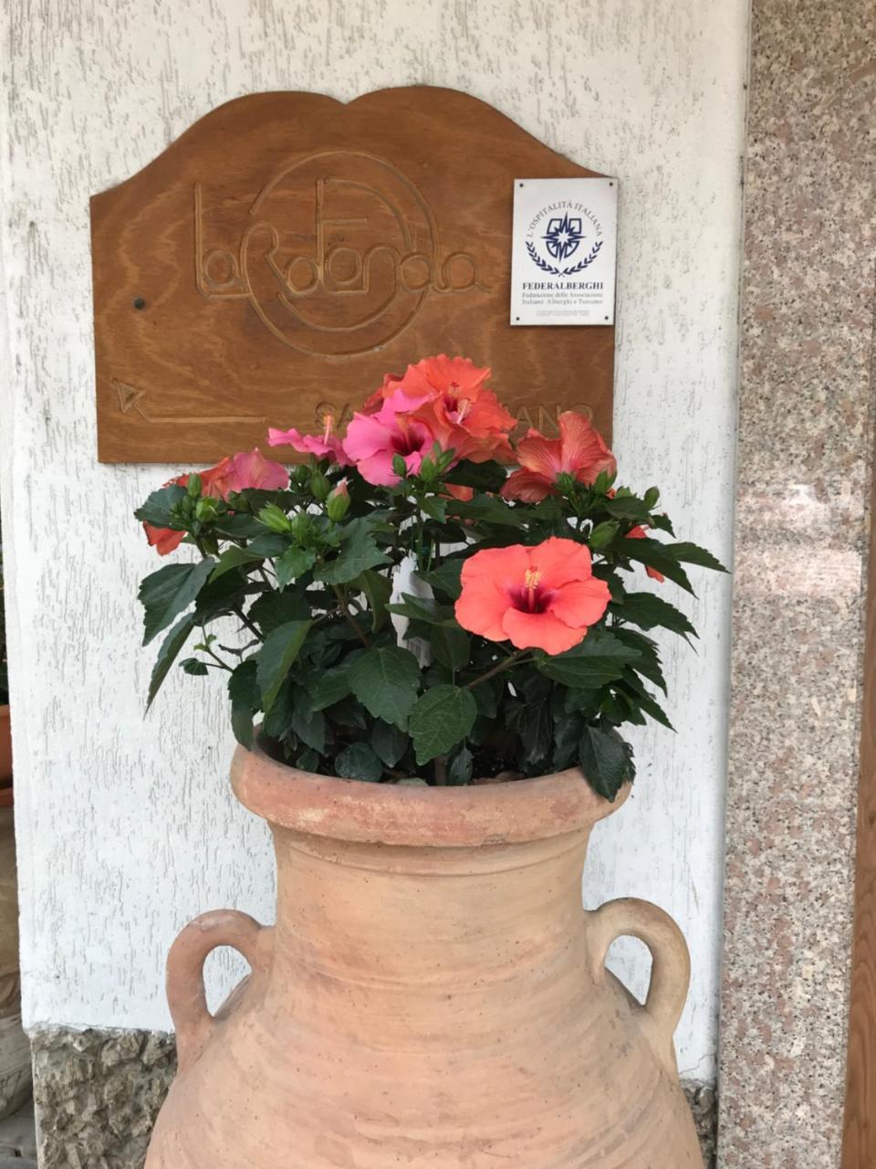 Hotel La Rotonda Cepagatti Dış mekan fotoğraf